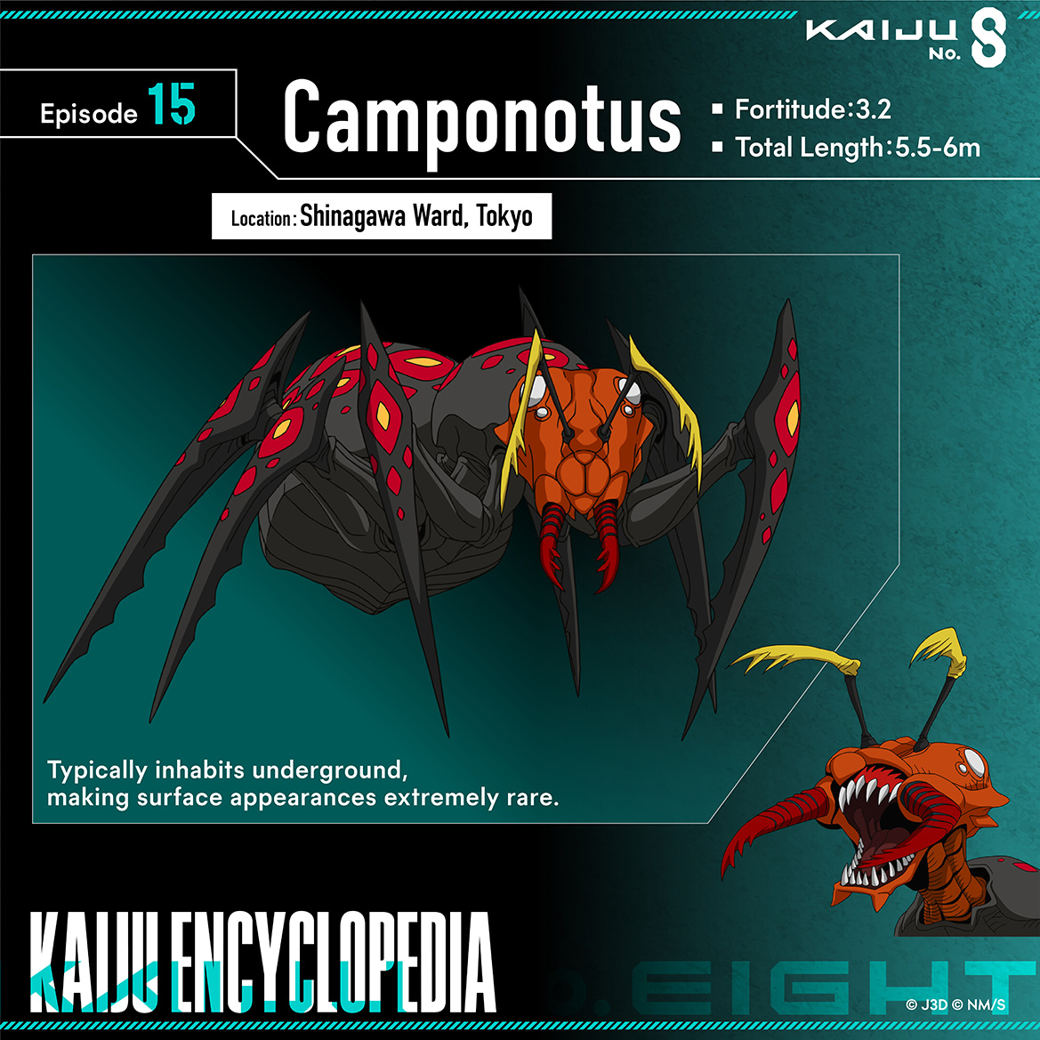 Camponotus