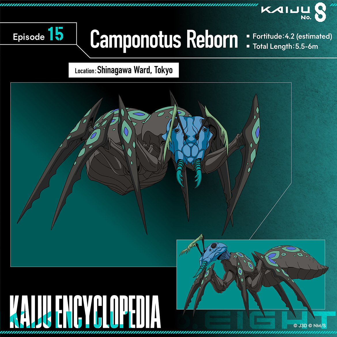 Camponotus Reborn
