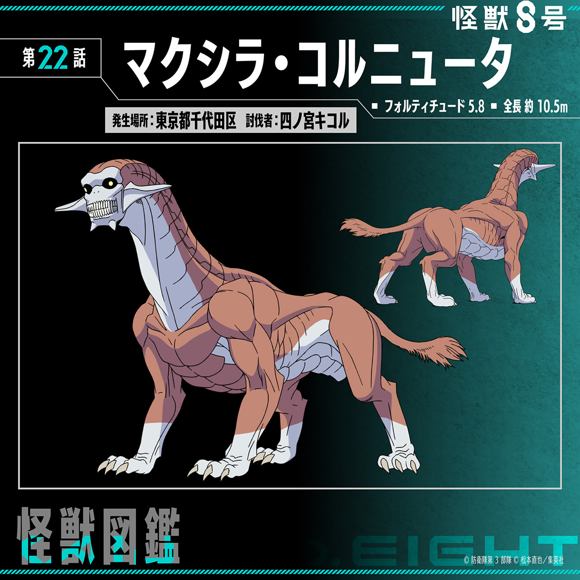 マクシラ・コルニュータ